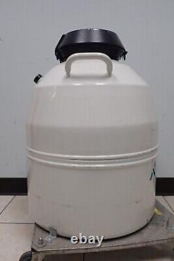MVE Model XC 47/11-6 Cryogenic Liquid Nitrogen Dewar Tank with 5 Cannisters